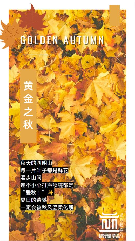 【智行研学】十一月研学活动——黄金之秋 商品图0