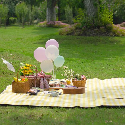 徽羚羊 牛津布双层野餐垫户外防水防潮野餐垫 200*200CM 商品图3