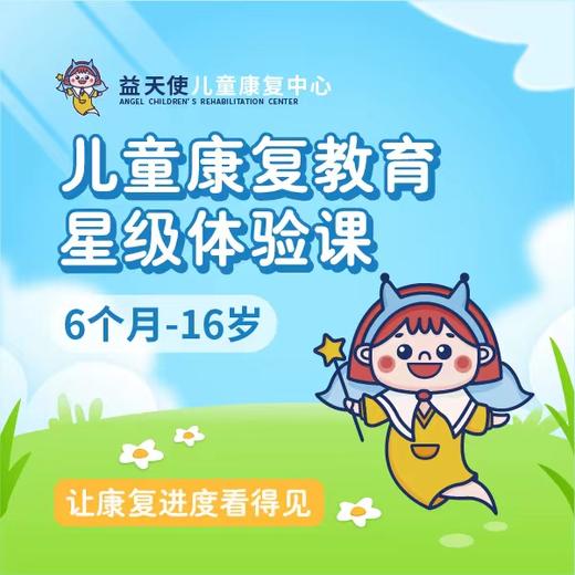 儿童康复教育星级体验课 益天使康复中心  语言 粗大 认知 精细 个训 感统 康复项目体验课 商品图0
