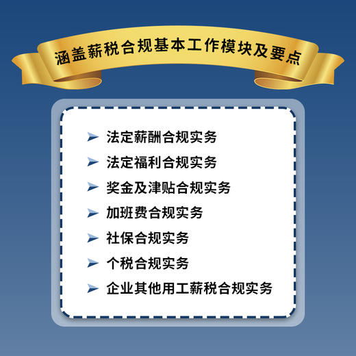 企业薪税合规实务手册 合规管理实战工具书 薪税合规实操知识点详解 薪税合规案例分享 薪税合规政策指引及规范 商品图2