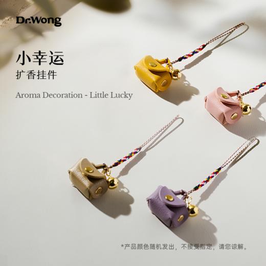 「小幸运」扩香挂件 商品图0