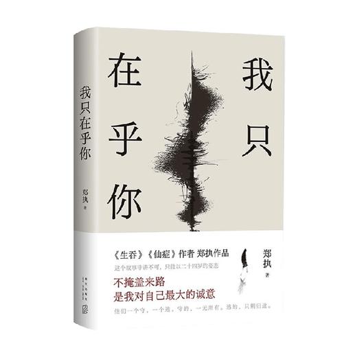 我只在乎你 郑执 著 小说 商品图3