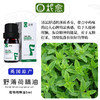 【柅愈】野薄荷纯精油5ml 英国原产薄荷精油 单方纯精油 扩香/熏香/调油 商品缩略图1