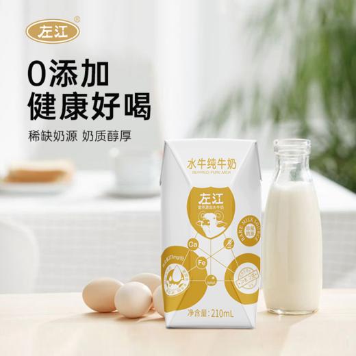 左江水牛纯牛奶210ml*10成人儿童孕妇学生营养早餐奶广西 商品图6