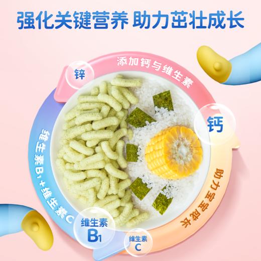 【任选专区】【6月+】婴幼儿泡芙条/海苔味/42g 商品图2