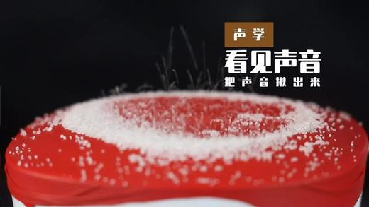 Lv.19 第1节课【看见声音】（精选实验打卡） 商品图0