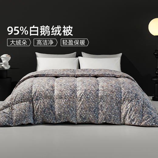 佳丽斯羽绒被95白鹅绒冬被芯加厚保暖抑菌匹马棉鹅绒被子 商品图1
