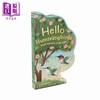 【中商原版】异形书 蜂鸟 Hello Hummingbirds 英文原版 儿童纸板书绘本 活动与玩具书 动物图画 进口儿童读物2-5岁 亲子童书 商品缩略图1