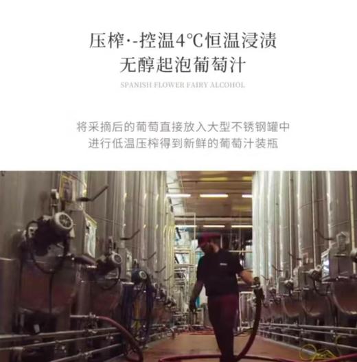 【多项荣誉傍身】西班牙百花仙子无醇起泡葡萄汁 佩内德斯DO法定产区 0%vol 商品图2