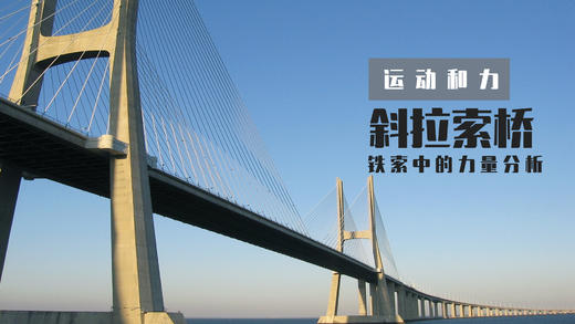 Lv.29 第10节课【斜拉索桥】（精选实验打卡） 商品图0