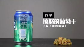 Lv.24 第3节课【愤怒的葡萄干】（学习课件）