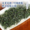 徽汇 黄山毛峰特级绿茶（祁门明前）250g单罐/500g双罐茶叶 新老包装随机发货 汤色黄绿明亮 口感醇厚回甘 48小时发货 商品缩略图2