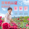 【嘉华 】白桃玫瑰鲜花饼 商品缩略图2