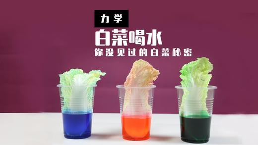 Lv.3 第6节课【植物喝水】（精选实验打卡） 商品图0