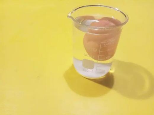 Lv.9 第5节课【鸡蛋浮沉】（精选原理作业） 商品图0