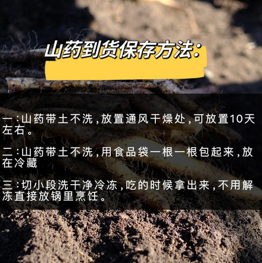 【2025新上市】【云端上的有机雪山山药】冰激凌般软糯香软 连续9年通过有机认证 生长在雅安宝兴2300米海拔的夹金山上，来之不易的高端食材 商品图14