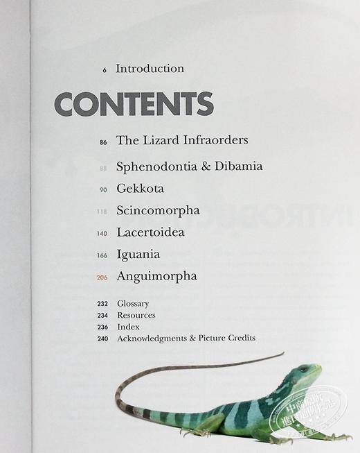 【中商原版】世界蜥蜴 蜥蜴百科图鉴指南 图文详解 Lizards of the World 英文原版 蜥蜴科普 Mark O Shea 商品图4