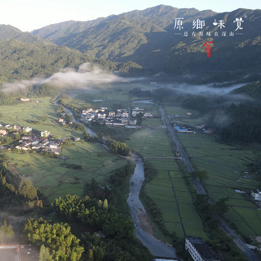 【3天左右发】有机鲜香菇（基地直发-顺丰包邮）| 来自广东“四只瓢虫”韶关基地，生产者：李志【合作生产，公平贸易】 商品图7