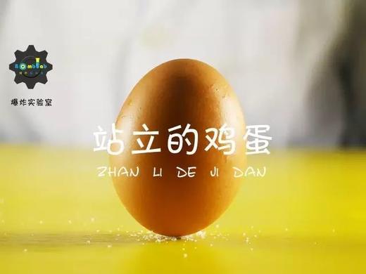 Lv.4 第3节课【站立的鸡蛋】（精选实验打卡） 商品图0