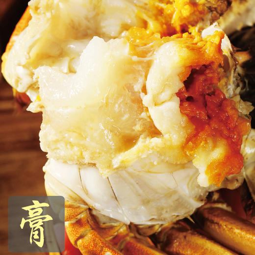 【现捞现发】龚大腿 阳澄湖大闸蟹 商品图2