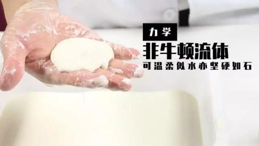 Lv.23 第2节课【非牛顿流体】（精选原理作业） 商品图0