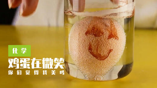Lv.16 第10节课【鸡蛋在微笑】（实验视频） 商品图0