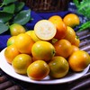 【基地直采！广西脆皮金桔】当季时令水果新鲜脆皮小金桔鲜果金桔子 商品缩略图1