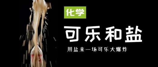 Lv.5 第10节课【可乐遇到盐】（学习课件） 商品图0