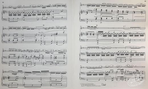 【中商原版】亨乐原版 布鲁赫g小调小提琴协奏曲op26 Bruch Violinkonzert g-moll op.26 KA 小提琴和钢琴 HN708 进口艺术 商品图5