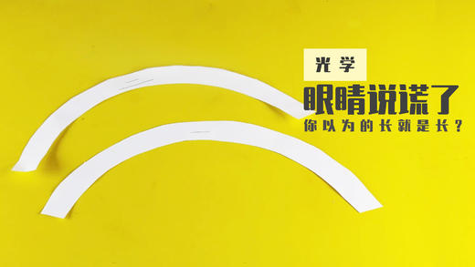 Lv.8 第1节课【眼睛会说谎】（精选原理作业） 商品图0