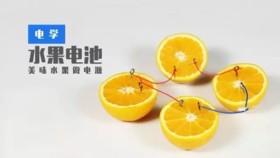 Lv.19 第9节课【水果电池】（实验视频）