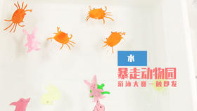 Lv.18 第4节课【暴走动物园】（精选原理作业）