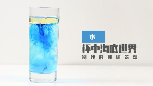 Lv.15 第5节课【杯中海底世界】（精选原理作业） 商品图0