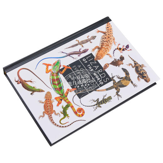 【中商原版】世界蜥蜴 蜥蜴百科图鉴指南 图文详解 Lizards of the World 英文原版 蜥蜴科普 Mark O Shea 商品图1