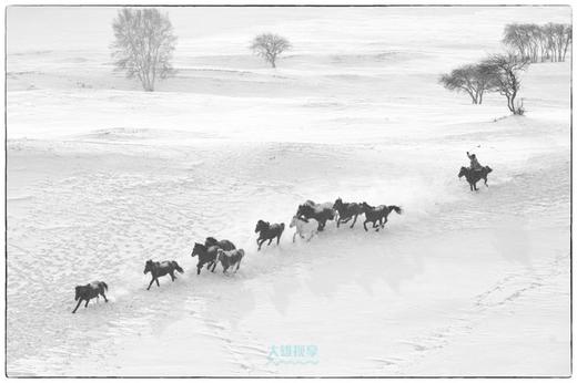 特惠1.11确定出发【颂•雪 坝上】冬季雪魅全景坝上6天摄影 商品图5