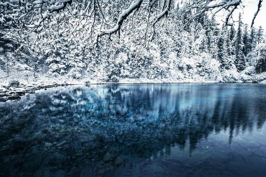 ★1月10日【颂•雪 四川】毕棚沟•达古冰川•九寨沟、黄龙冰雪世界7日摄影【1109直播】 商品图7