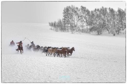 特惠1.11确定出发【颂•雪 坝上】冬季雪魅全景坝上6天摄影 商品图7