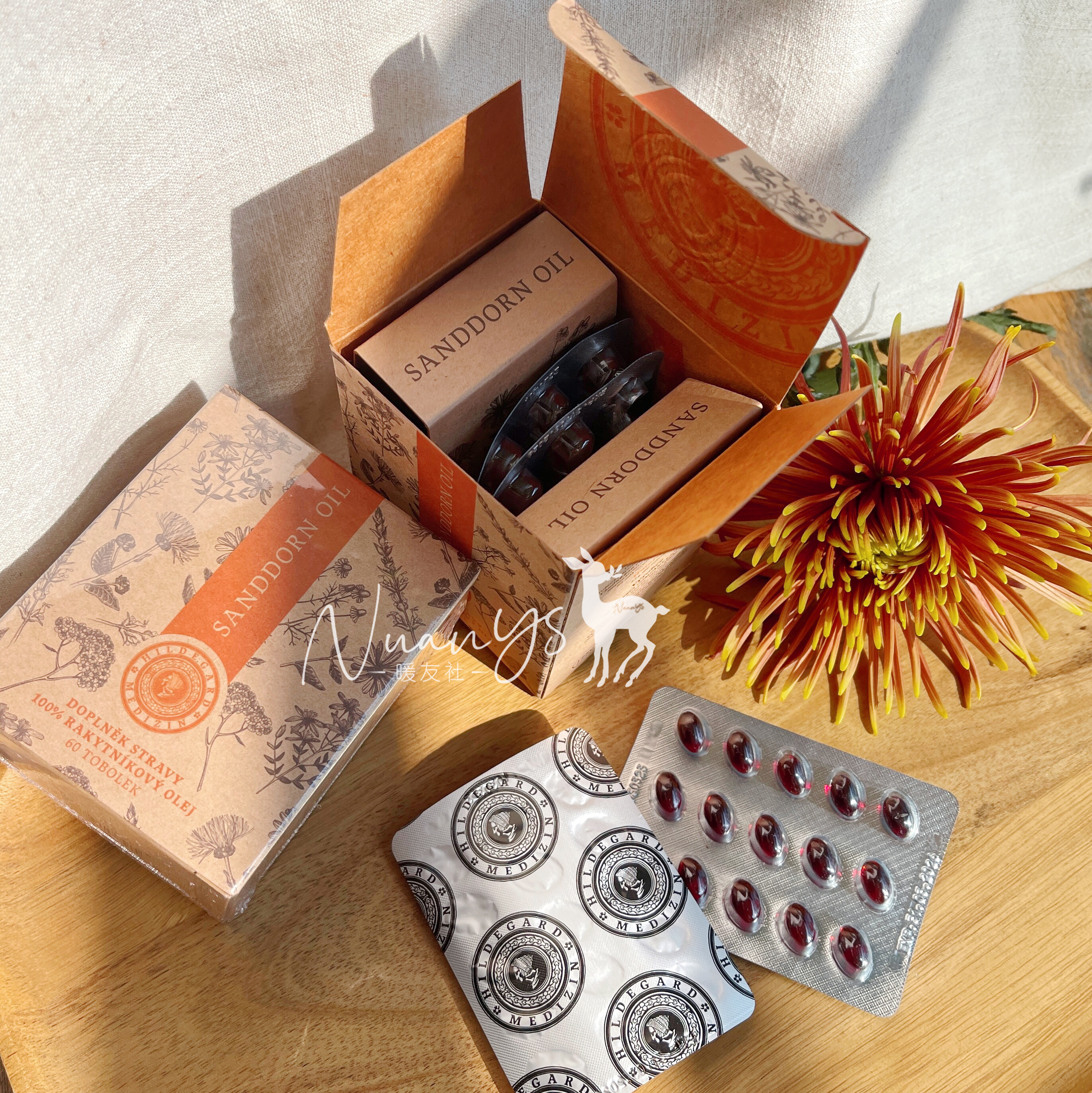 【俢复体力 胃口 胃舒服 孩子孕妈胃需要的营养】沙棘油胶囊 60粒 捷克 圣希尔德佳德