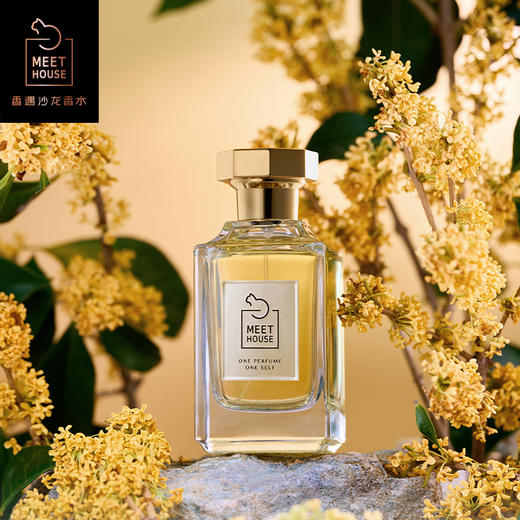 【2022自然系列新香】秋风与桂50ml 100ml 商品图0