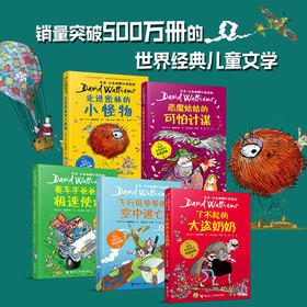 大卫·少年幽默小说系列冒险篇（共5册）