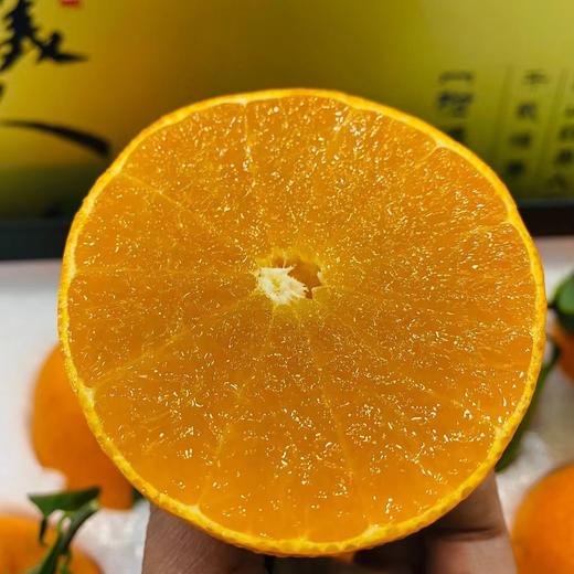 红美人橘橙🍊礼盒装 商品图6