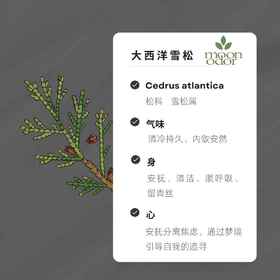 02 有机大西洋雪松精油 【香气002】