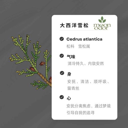 02 有机大西洋雪松精油 【香气002】 商品图0