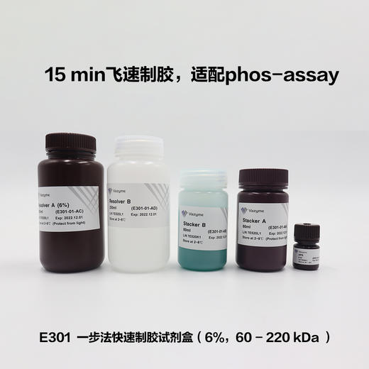 One-Step PAGE Gel Fast Preparation Kit (6%) 商品图0