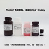 One-Step PAGE Gel Fast Preparation Kit (10%) 商品缩略图1