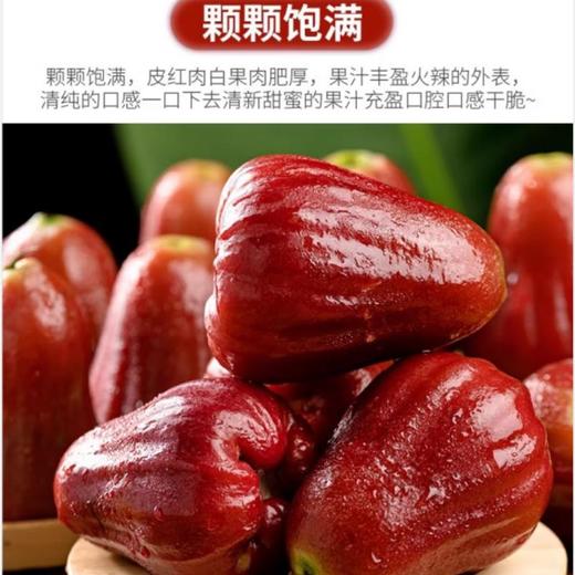 莲雾 500g /份 商品图2