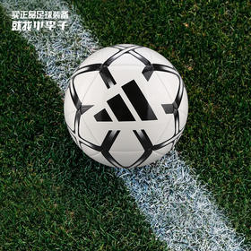 ADIDAS/阿迪达斯运动训练比赛基础款3号/4号/5号足球男IP1648