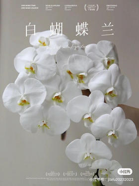 蝴蝶兰白一支物流受损不售后8-9朵