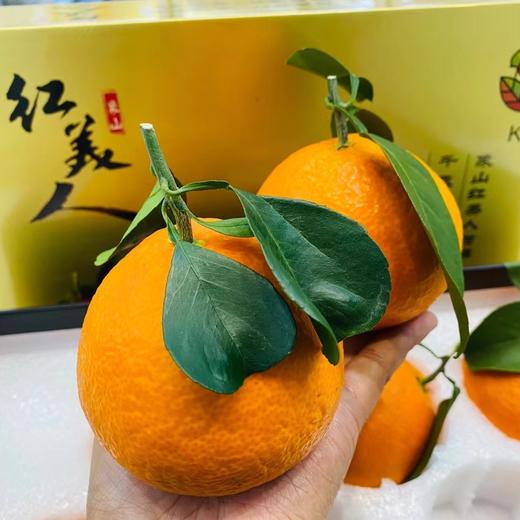 红美人橘橙🍊礼盒装 商品图3