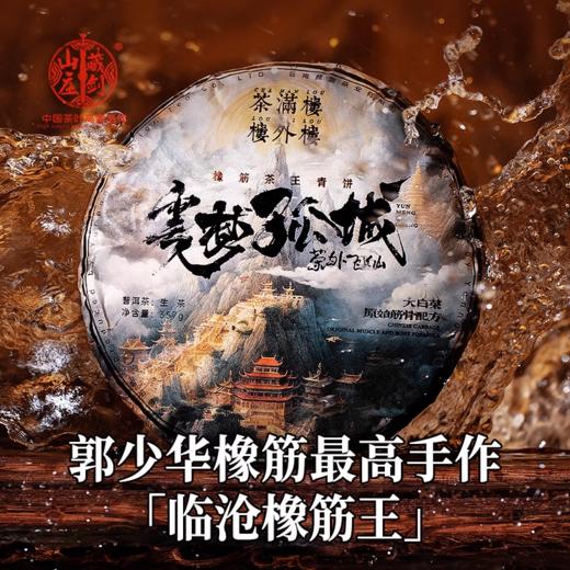 【999元精选福利专区】2023年郭少华监制 大白菜橡筋茶王青饼《云梦孤城》357克/片！5送1 商品图1
